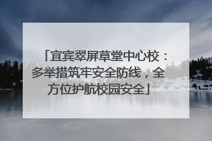 宜宾翠屏草堂中心校：多举措筑牢安全防线，全方位护航校园安全