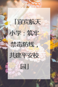 宜宾航天小学：筑牢禁毒防线，共建平安校园