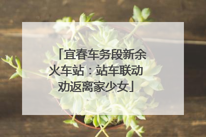 宜春车务段新余火车站：站车联动劝返离家少女