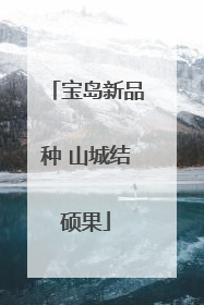 宝岛新品种 山城结硕果