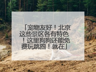 宠物友好！北京这些景区各有特色！这里狗狗还能免费玩跳圈！就在