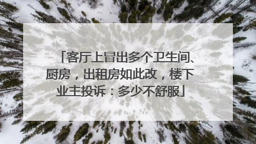 客厅上冒出多个卫生间、厨房，出租房如此改，楼下业主投诉：多少不舒服