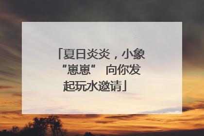 夏日炎炎，小象“崽崽” 向你发起玩水邀请