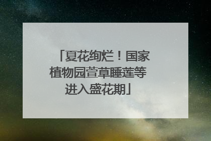夏花绚烂！国家植物园萱草睡莲等进入盛花期