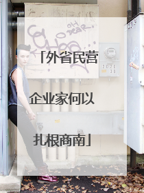 外省民营企业家何以扎根商南