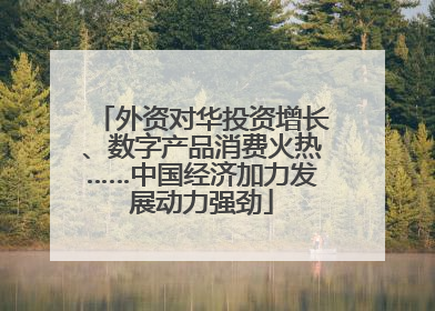 外资对华投资增长、数字产品消费火热……中国经济加力发展动力强劲