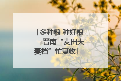 多种粮 种好粮——晋南“麦田夫妻档”忙夏收
