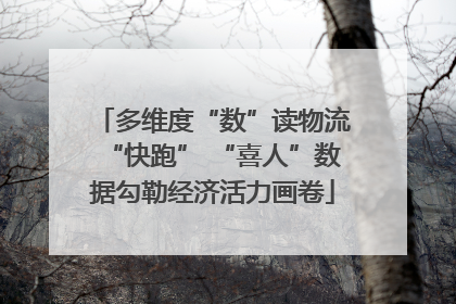 多维度“数”读物流“快跑” “喜人”数据勾勒经济活力画卷