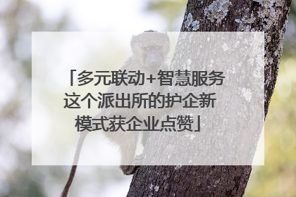 多元联动+智慧服务 这个派出所的护企新模式获企业点赞