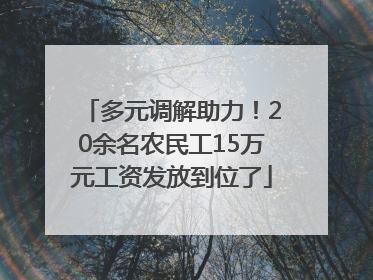 多元调解助力！20余名农民工15万元工资发放到位了