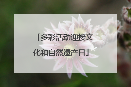 多彩活动迎接文化和自然遗产日