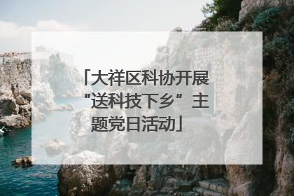 大祥区科协开展“送科技下乡”主题党日活动