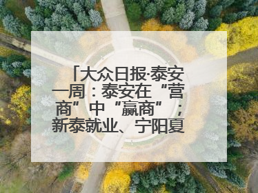 大众日报·泰安一周：泰安在“营商”中“赢商”；新泰就业、宁阳夏收工作上要闻
