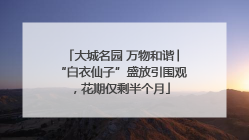 大城名园 万物和谐│“白衣仙子”盛放引围观，花期仅剩半个月