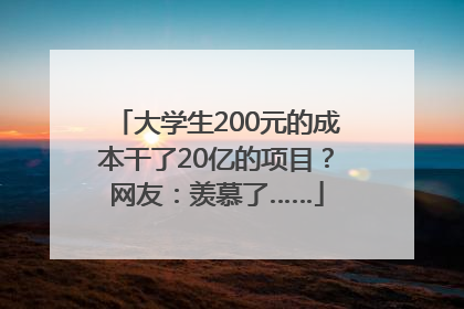 大学生200元的成本干了20亿的项目？网友：羡慕了……