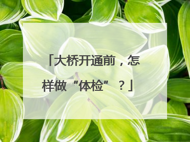 大桥开通前，怎样做“体检”？