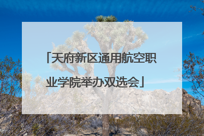 天府新区通用航空职业学院举办双选会