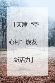 天津“空心村”焕发新活力