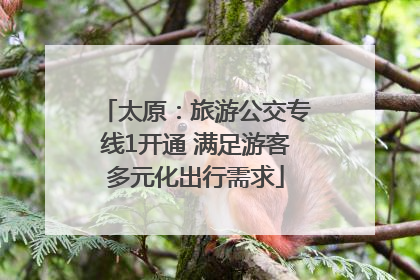 太原：旅游公交专线1开通 满足游客多元化出行需求