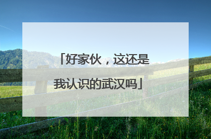 好家伙，这还是我认识的武汉吗