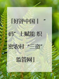 好评中国丨“码”上赋能 织密农村“三资”监管网
