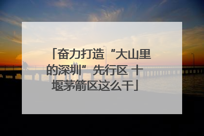 奋力打造“大山里的深圳”先行区 十堰茅箭区这么干