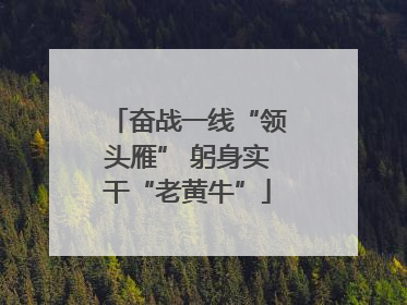 奋战一线“领头雁” 躬身实干“老黄牛”