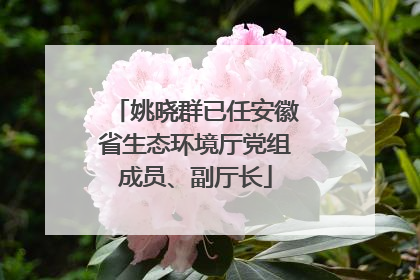姚晓群已任安徽省生态环境厅党组成员、副厅长