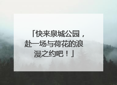 快来泉城公园，赴一场与荷花的浪漫之约吧！