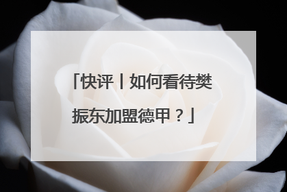 快评丨如何看待樊振东加盟德甲？