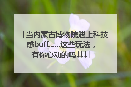 当内蒙古博物院遇上科技感buff……这些玩法，有你心动的吗↓↓↓