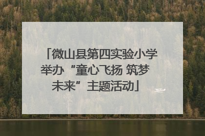 微山县第四实验小学举办“童心飞扬 筑梦未来”主题活动
