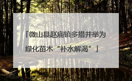 微山县赵庙镇多措并举为绿化苗木“补水解渴”