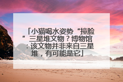 小猫喝水姿势“撞脸”三星堆文物？博物馆：该文物并非来自三星堆，有可能是它