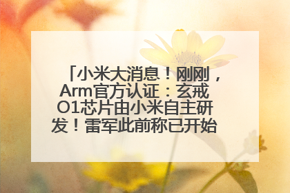 小米大消息！刚刚，Arm官方认证：玄戒O1芯片由小米自主研发！雷军此前称已开始大规模量产