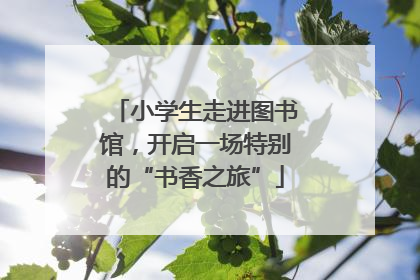 小学生走进图书馆，开启一场特别的“书香之旅”