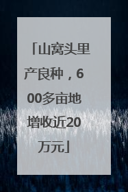 山窝头里产良种，600多亩地增收近20万元
