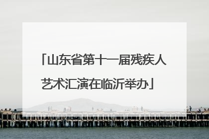 山东省第十一届残疾人艺术汇演在临沂举办