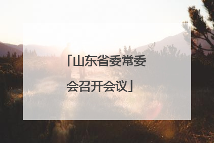 山东省委常委会召开会议