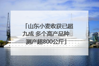 山东小麦收获已超九成 多个高产品种测产超800公斤