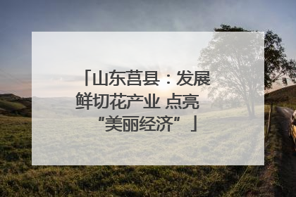 山东莒县：发展鲜切花产业 点亮“美丽经济”