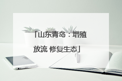 山东青岛：增殖放流 修复生态