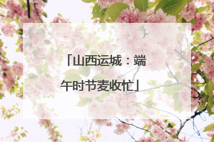 山西运城：端午时节麦收忙