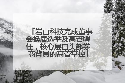 岩山科技完成董事会换届选举及高管聘任，核心层由头部券商背景的高管掌控