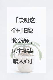 崇明这个村旧貌换新颜，民生实事暖人心