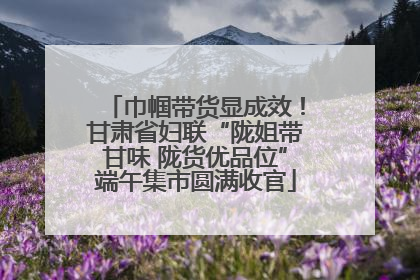巾帼带货显成效！甘肃省妇联“陇姐带甘味 陇货优品位”端午集市圆满收官