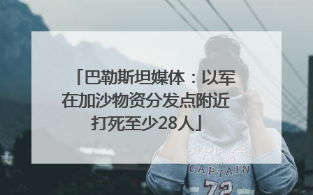 巴勒斯坦媒体：以军在加沙物资分发点附近打死至少28人