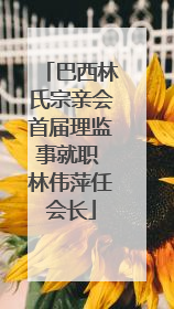 巴西林氏宗亲会首届理监事就职 林伟萍任会长