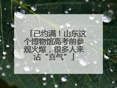 已约满！山东这个博物馆高考前参观火爆，很多人来沾“喜气”