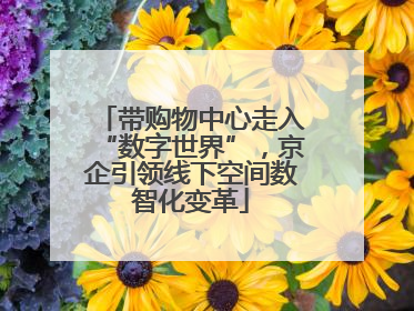 带购物中心走入“数字世界”，京企引领线下空间数智化变革